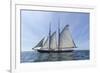 USA, Massachusetts, Cape Ann, Gloucester. Gloucester Schooner Festival, schooner parade of sail.-Walter Bibikow-Framed Photographic Print