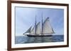 USA, Massachusetts, Cape Ann, Gloucester. Gloucester Schooner Festival, schooner parade of sail.-Walter Bibikow-Framed Photographic Print