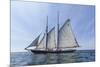 USA, Massachusetts, Cape Ann, Gloucester. Gloucester Schooner Festival, schooner parade of sail.-Walter Bibikow-Mounted Photographic Print