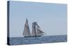 USA, Massachusetts, Cape Ann, Gloucester. Gloucester Schooner Festival, schooner parade of sail.-Walter Bibikow-Stretched Canvas