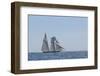 USA, Massachusetts, Cape Ann, Gloucester. Gloucester Schooner Festival, schooner parade of sail.-Walter Bibikow-Framed Photographic Print