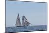 USA, Massachusetts, Cape Ann, Gloucester. Gloucester Schooner Festival, schooner parade of sail.-Walter Bibikow-Mounted Photographic Print