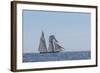 USA, Massachusetts, Cape Ann, Gloucester. Gloucester Schooner Festival, schooner parade of sail.-Walter Bibikow-Framed Photographic Print