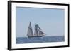 USA, Massachusetts, Cape Ann, Gloucester. Gloucester Schooner Festival, schooner parade of sail.-Walter Bibikow-Framed Photographic Print