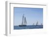 USA, Massachusetts, Cape Ann, Gloucester. Gloucester Schooner Festival, schooner parade of sail.-Walter Bibikow-Framed Photographic Print