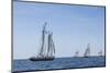 USA, Massachusetts, Cape Ann, Gloucester. Gloucester Schooner Festival, schooner parade of sail.-Walter Bibikow-Mounted Photographic Print