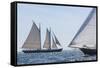 USA, Massachusetts, Cape Ann, Gloucester. Gloucester Schooner Festival, schooner parade of sail.-Walter Bibikow-Framed Stretched Canvas