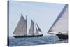 USA, Massachusetts, Cape Ann, Gloucester. Gloucester Schooner Festival, schooner parade of sail.-Walter Bibikow-Stretched Canvas