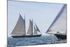 USA, Massachusetts, Cape Ann, Gloucester. Gloucester Schooner Festival, schooner parade of sail.-Walter Bibikow-Mounted Photographic Print