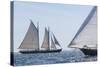 USA, Massachusetts, Cape Ann, Gloucester. Gloucester Schooner Festival, schooner parade of sail.-Walter Bibikow-Stretched Canvas