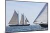 USA, Massachusetts, Cape Ann, Gloucester. Gloucester Schooner Festival, schooner parade of sail.-Walter Bibikow-Mounted Photographic Print