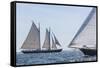 USA, Massachusetts, Cape Ann, Gloucester. Gloucester Schooner Festival, schooner parade of sail.-Walter Bibikow-Framed Stretched Canvas