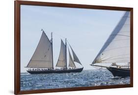 USA, Massachusetts, Cape Ann, Gloucester. Gloucester Schooner Festival, schooner parade of sail.-Walter Bibikow-Framed Photographic Print