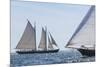 USA, Massachusetts, Cape Ann, Gloucester. Gloucester Schooner Festival, schooner parade of sail.-Walter Bibikow-Mounted Photographic Print