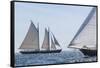 USA, Massachusetts, Cape Ann, Gloucester. Gloucester Schooner Festival, schooner parade of sail.-Walter Bibikow-Framed Stretched Canvas