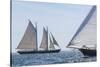 USA, Massachusetts, Cape Ann, Gloucester. Gloucester Schooner Festival, schooner parade of sail.-Walter Bibikow-Stretched Canvas