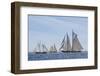 USA, Massachusetts, Cape Ann, Gloucester. Gloucester Schooner Festival, schooner parade of sail.-Walter Bibikow-Framed Photographic Print