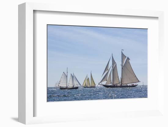 USA, Massachusetts, Cape Ann, Gloucester. Gloucester Schooner Festival, schooner parade of sail.-Walter Bibikow-Framed Photographic Print