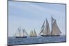 USA, Massachusetts, Cape Ann, Gloucester. Gloucester Schooner Festival, schooner parade of sail.-Walter Bibikow-Mounted Photographic Print