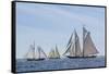 USA, Massachusetts, Cape Ann, Gloucester. Gloucester Schooner Festival, schooner parade of sail.-Walter Bibikow-Framed Stretched Canvas