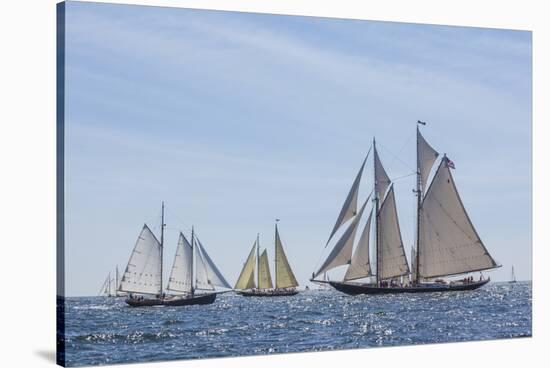 USA, Massachusetts, Cape Ann, Gloucester. Gloucester Schooner Festival, schooner parade of sail.-Walter Bibikow-Stretched Canvas