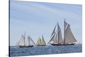 USA, Massachusetts, Cape Ann, Gloucester. Gloucester Schooner Festival, schooner parade of sail.-Walter Bibikow-Stretched Canvas