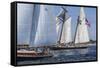 USA, Massachusetts, Cape Ann, Gloucester. Gloucester Schooner Festival, schooner parade of sail.-Walter Bibikow-Framed Stretched Canvas