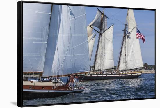 USA, Massachusetts, Cape Ann, Gloucester. Gloucester Schooner Festival, schooner parade of sail.-Walter Bibikow-Framed Stretched Canvas