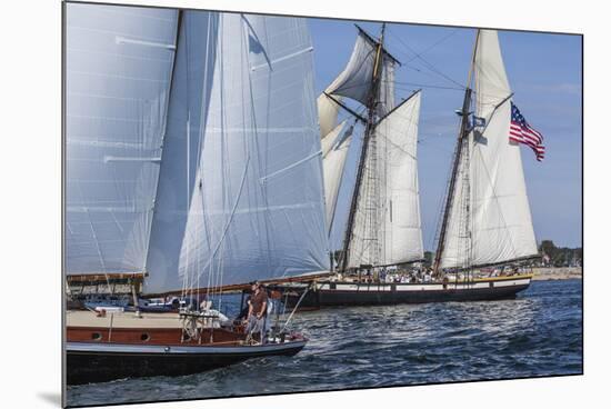 USA, Massachusetts, Cape Ann, Gloucester. Gloucester Schooner Festival, schooner parade of sail.-Walter Bibikow-Mounted Photographic Print