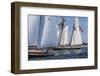 USA, Massachusetts, Cape Ann, Gloucester. Gloucester Schooner Festival, schooner parade of sail.-Walter Bibikow-Framed Photographic Print