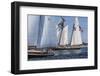 USA, Massachusetts, Cape Ann, Gloucester. Gloucester Schooner Festival, schooner parade of sail.-Walter Bibikow-Framed Photographic Print