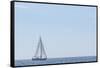 USA, Massachusetts, Cape Ann, Gloucester. Gloucester Schooner Festival, schooner parade of sail.-Walter Bibikow-Framed Stretched Canvas