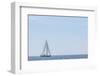 USA, Massachusetts, Cape Ann, Gloucester. Gloucester Schooner Festival, schooner parade of sail.-Walter Bibikow-Framed Photographic Print