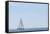 USA, Massachusetts, Cape Ann, Gloucester. Gloucester Schooner Festival, schooner parade of sail.-Walter Bibikow-Framed Stretched Canvas