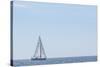 USA, Massachusetts, Cape Ann, Gloucester. Gloucester Schooner Festival, schooner parade of sail.-Walter Bibikow-Stretched Canvas