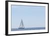 USA, Massachusetts, Cape Ann, Gloucester. Gloucester Schooner Festival, schooner parade of sail.-Walter Bibikow-Framed Photographic Print