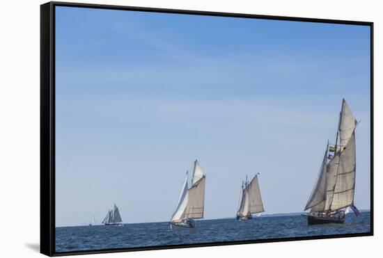 USA, Massachusetts, Cape Ann, Gloucester. Gloucester Schooner Festival, schooner parade of sail.-Walter Bibikow-Framed Stretched Canvas