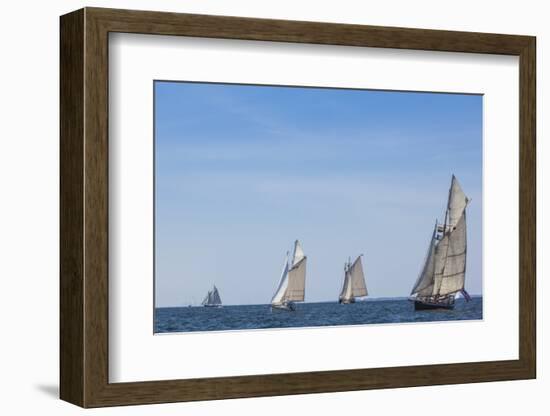 USA, Massachusetts, Cape Ann, Gloucester. Gloucester Schooner Festival, schooner parade of sail.-Walter Bibikow-Framed Photographic Print