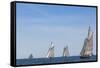 USA, Massachusetts, Cape Ann, Gloucester. Gloucester Schooner Festival, schooner parade of sail.-Walter Bibikow-Framed Stretched Canvas