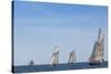 USA, Massachusetts, Cape Ann, Gloucester. Gloucester Schooner Festival, schooner parade of sail.-Walter Bibikow-Stretched Canvas