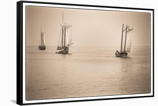 USA, Massachusetts, Cape Ann, Gloucester. Re-enactors of the Battle of Gloucester-Walter Bibikow-Framed Stretched Canvas