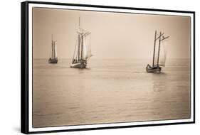 USA, Massachusetts, Cape Ann, Gloucester. Re-enactors of the Battle of Gloucester-Walter Bibikow-Framed Stretched Canvas