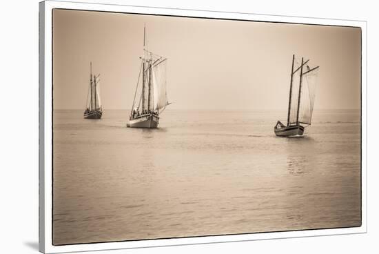 USA, Massachusetts, Cape Ann, Gloucester. Re-enactors of the Battle of Gloucester-Walter Bibikow-Stretched Canvas