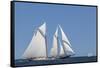 USA, Massachusetts, Cape Ann, Gloucester, schooner sailing ships-Walter Bibikow-Framed Stretched Canvas