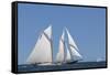 USA, Massachusetts, Cape Ann, Gloucester, schooner sailing ships-Walter Bibikow-Framed Stretched Canvas