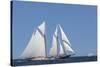 USA, Massachusetts, Cape Ann, Gloucester, schooner sailing ships-Walter Bibikow-Stretched Canvas