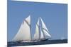 USA, Massachusetts, Cape Ann, Gloucester, schooner sailing ships-Walter Bibikow-Mounted Premium Photographic Print