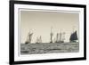 USA, Massachusetts, Cape Ann, Gloucester, schooner sailing ships-Walter Bibikow-Framed Premium Photographic Print