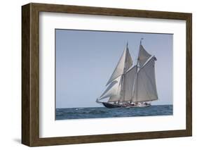 USA, Massachusetts, Cape Ann, Gloucester, schooner sailing ships-Walter Bibikow-Framed Photographic Print