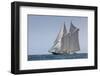 USA, Massachusetts, Cape Ann, Gloucester, schooner sailing ships-Walter Bibikow-Framed Photographic Print